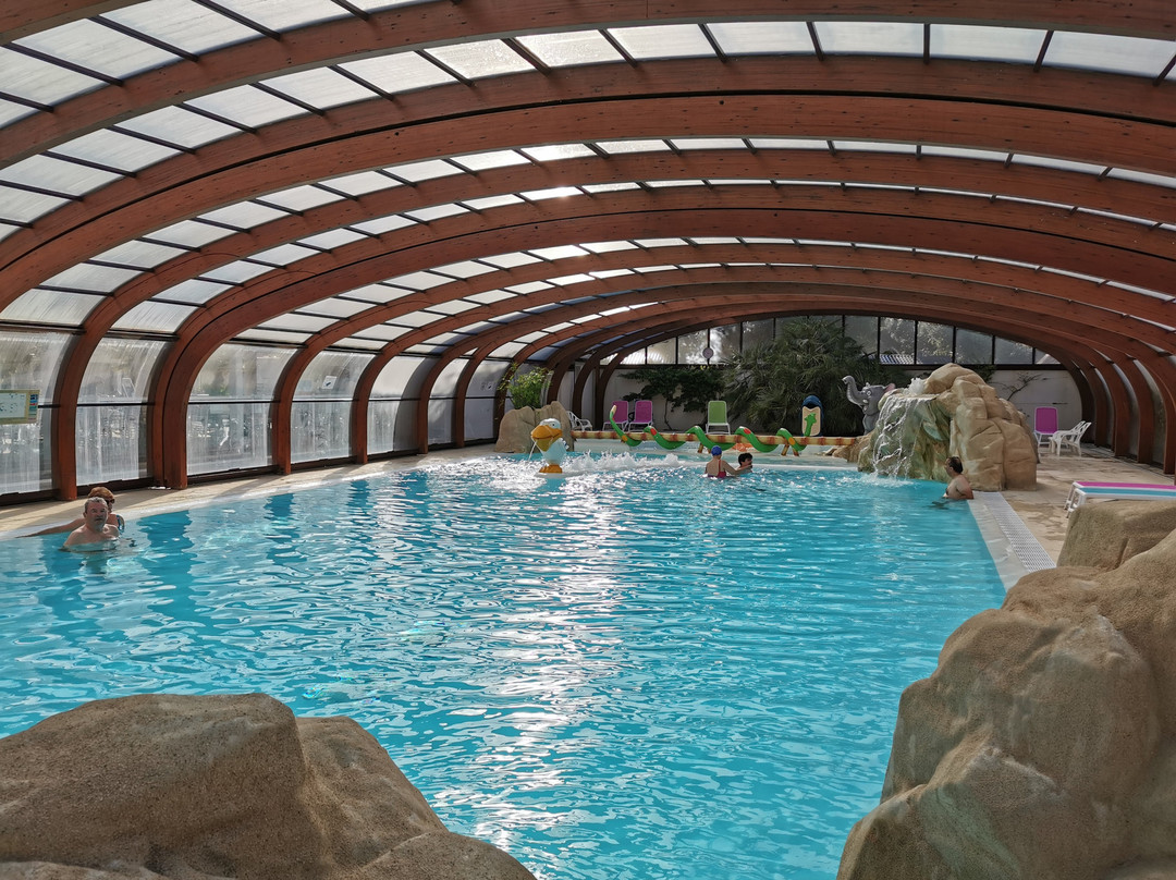Camping Marvilla Parks - La Grainetière主图