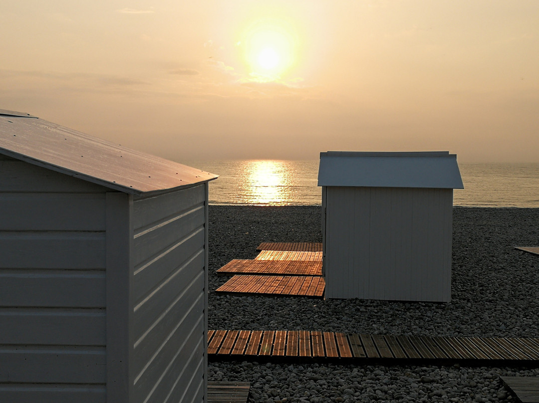 La villa flore主图