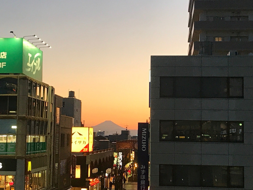 Ito-Yokado Ageo Ekimae-上尾市必去景点