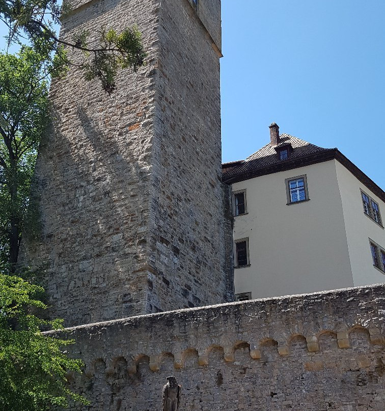 Guttenberg Castle (Burg Guttenberg)景点图片