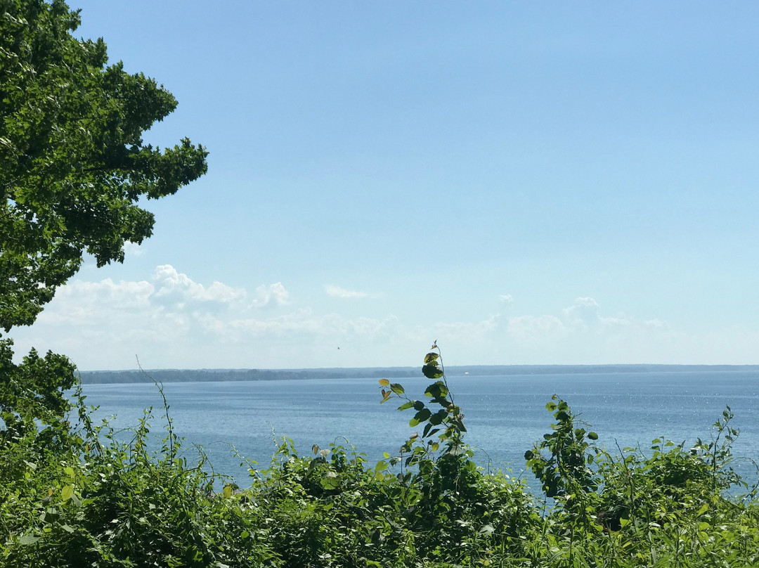 Selkirk Shores State Park景点图片