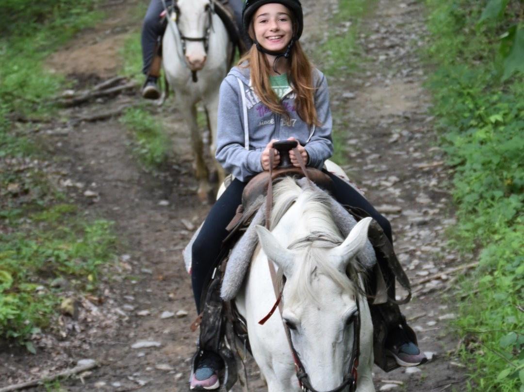 Equestrian Adventures景点图片