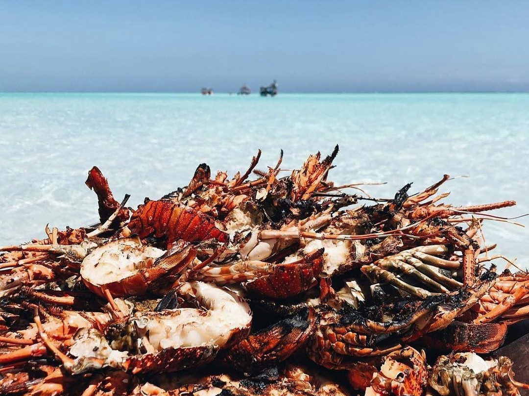 Kenya Tour Safari-瓦塔木必去景点