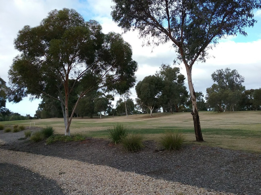 Waikerie Golf & Country Club景点图片