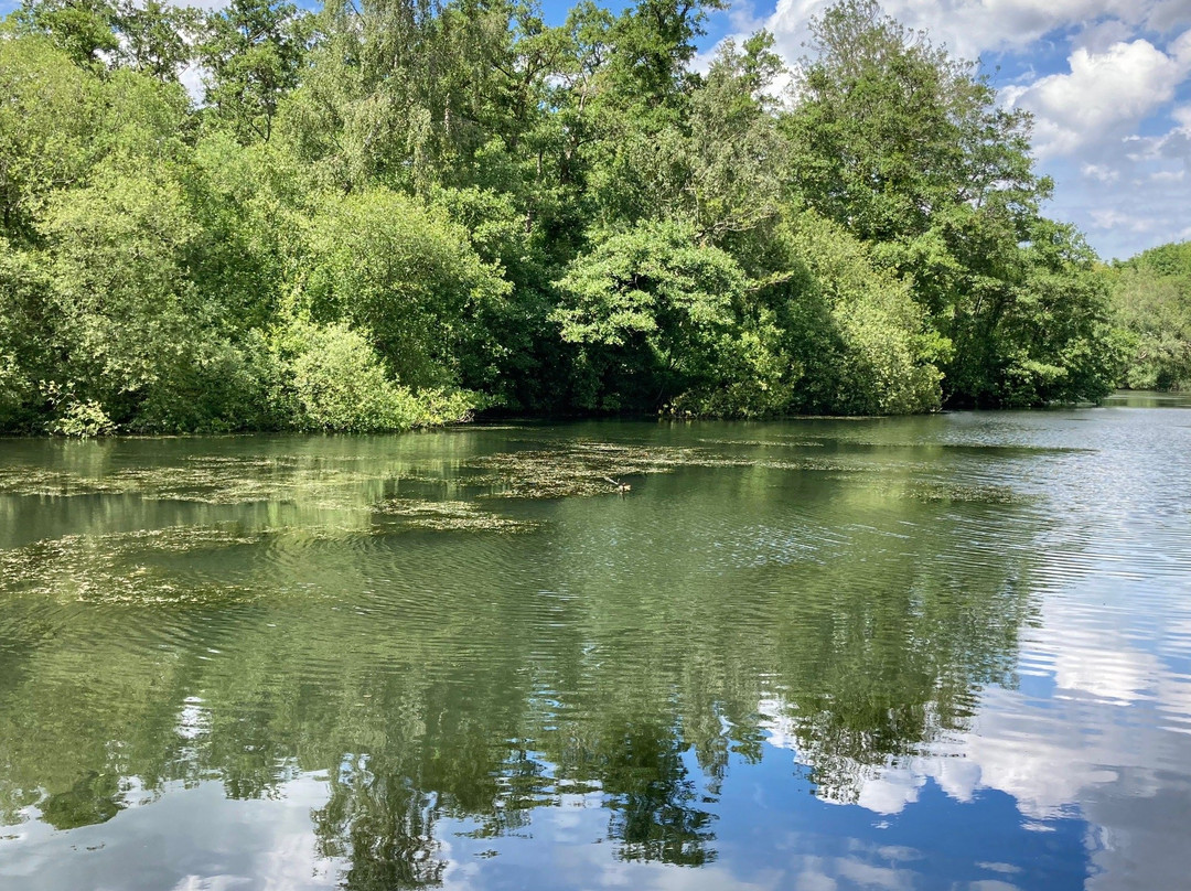 Oare Gunpowder Works Country Park景点图片