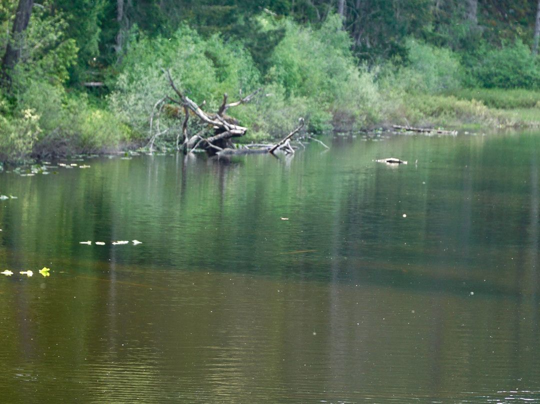 Spectacle Lake Provincial Park景点图片