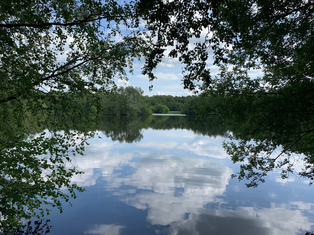 Holme Fen National Nature Reserve景点图片