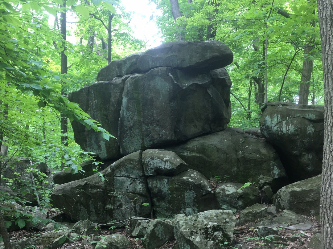Sourland Mountain Preserve景点图片