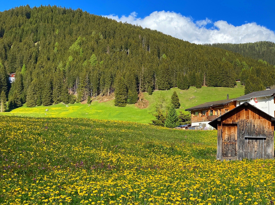 Davos Tourist Office-Davos Platz必去景点