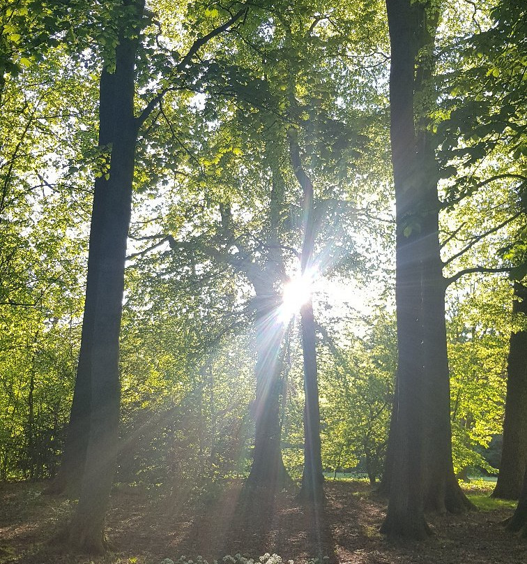 Hurst Grange Park景点图片