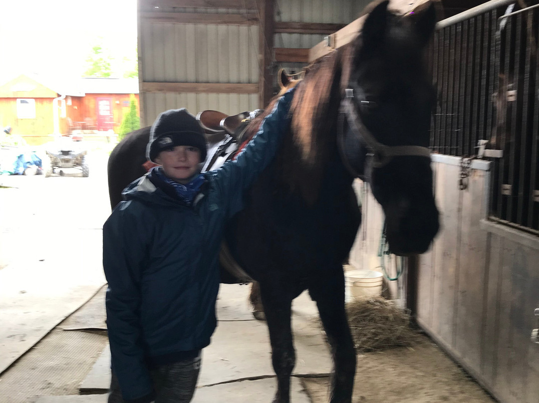 Equestrian Ridge Farm-New Plymouth必去景点