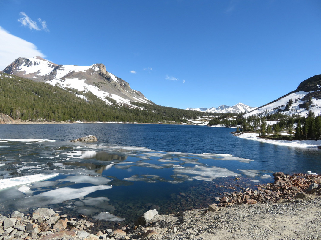 Tioga Lake景点图片