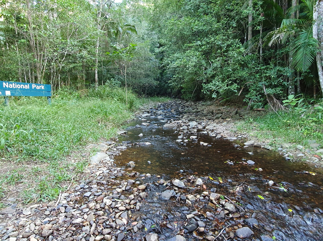 Cougal Cascades-可伦宾必去景点