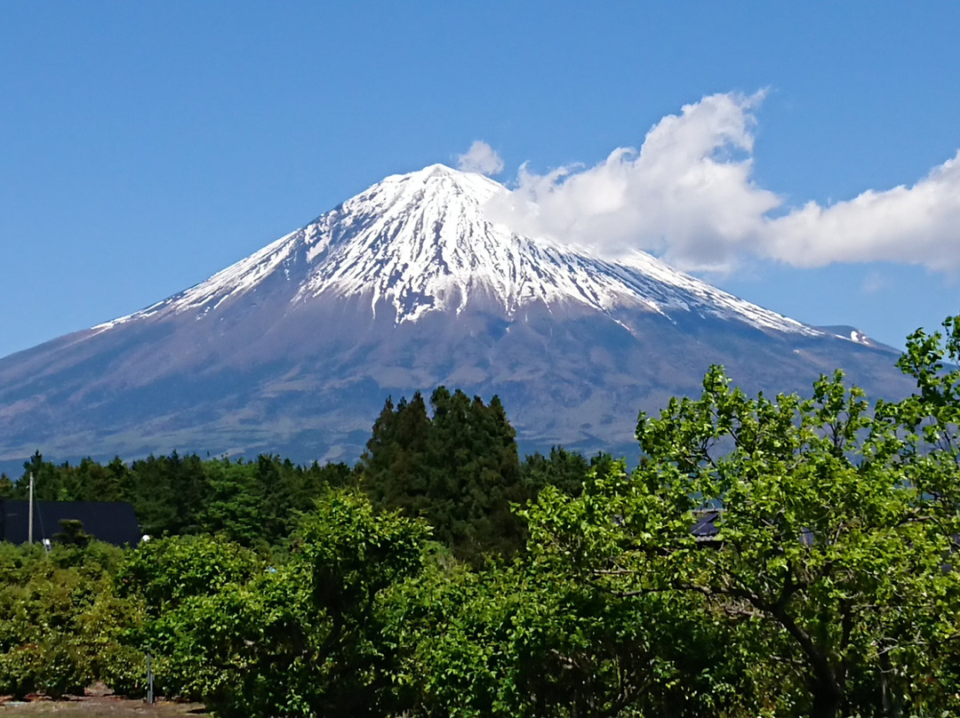 Shimonobo Temple-富士宫市必去景点