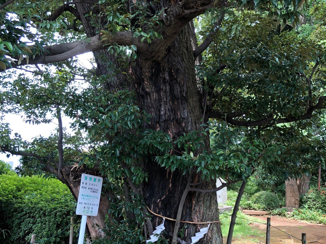 Kokonoe Shrine-川口市必去景点