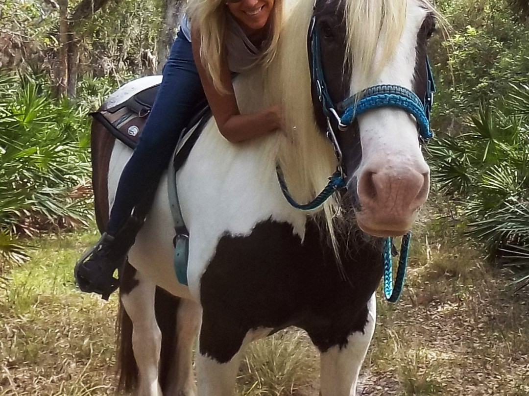 C Ponies Beach Horseback Rides-布雷登顿必去景点