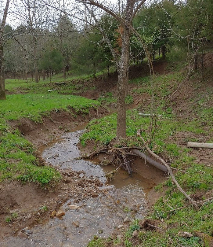 George Washington & Jefferson National Forests-Millboro必去景点