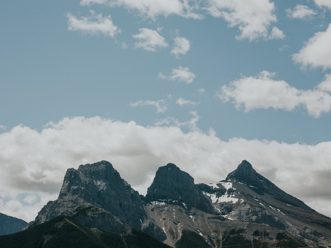 熊及野牛乡村酒店主图