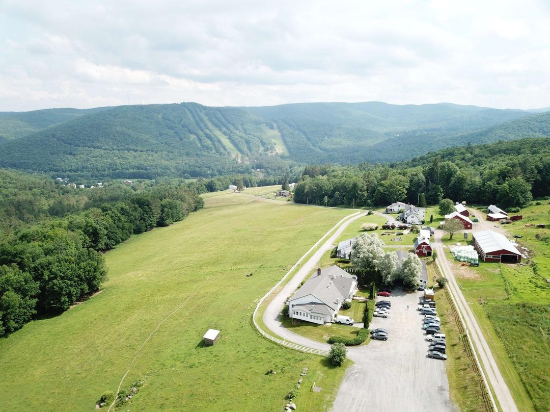 The Warfield House Inn主图