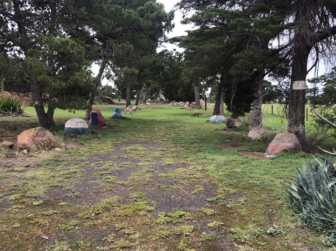 Burns Reserve (Altona Dog Beach)景点图片