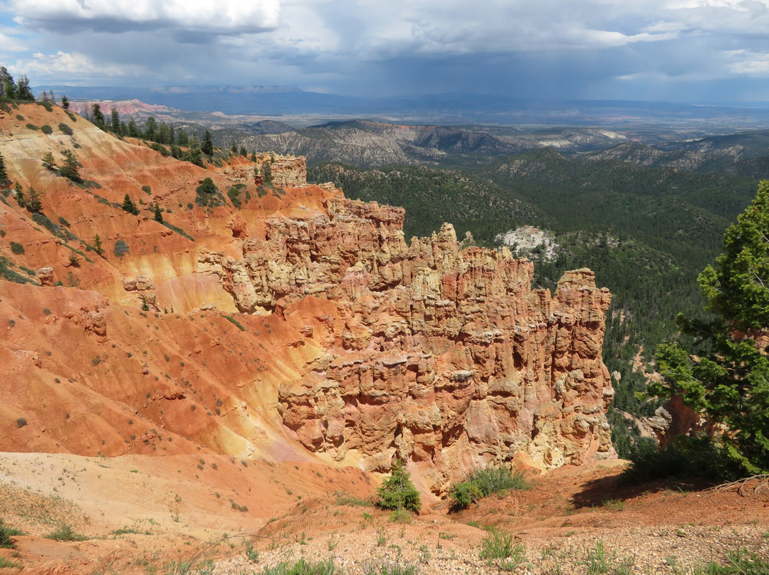 Ponderosa Canyon-布莱斯必去景点