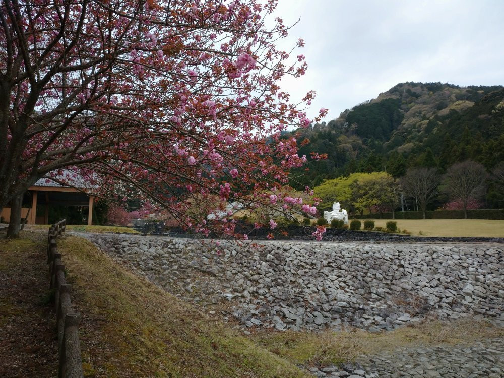 Hanedani Dandan Park-海津市必去景点