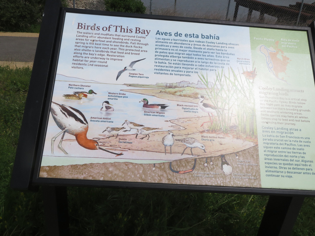 Cooley Landing-东帕罗奥图必去景点