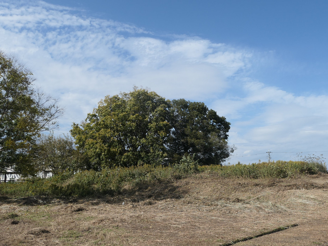 Makimukuishizuka Burial Mound-樱井市必去景点