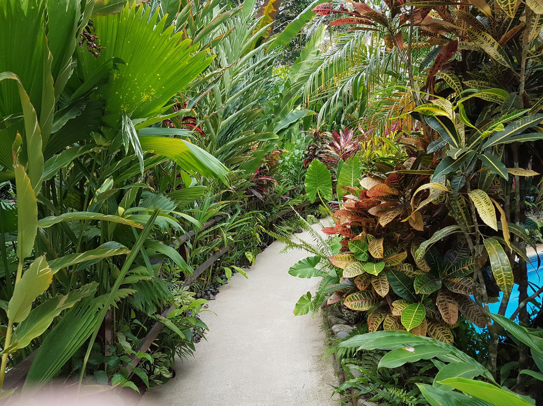 Villas En El Bosque主图