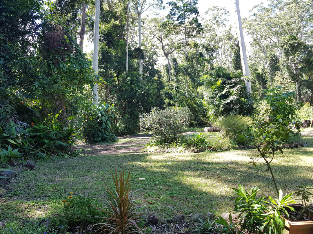 Beechs’ Brook Rain Forest Retreat主图