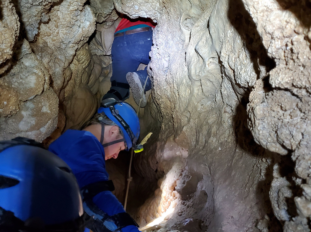 Hall of The White Giant-卡尔斯巴德洞穴国家公园必去景点