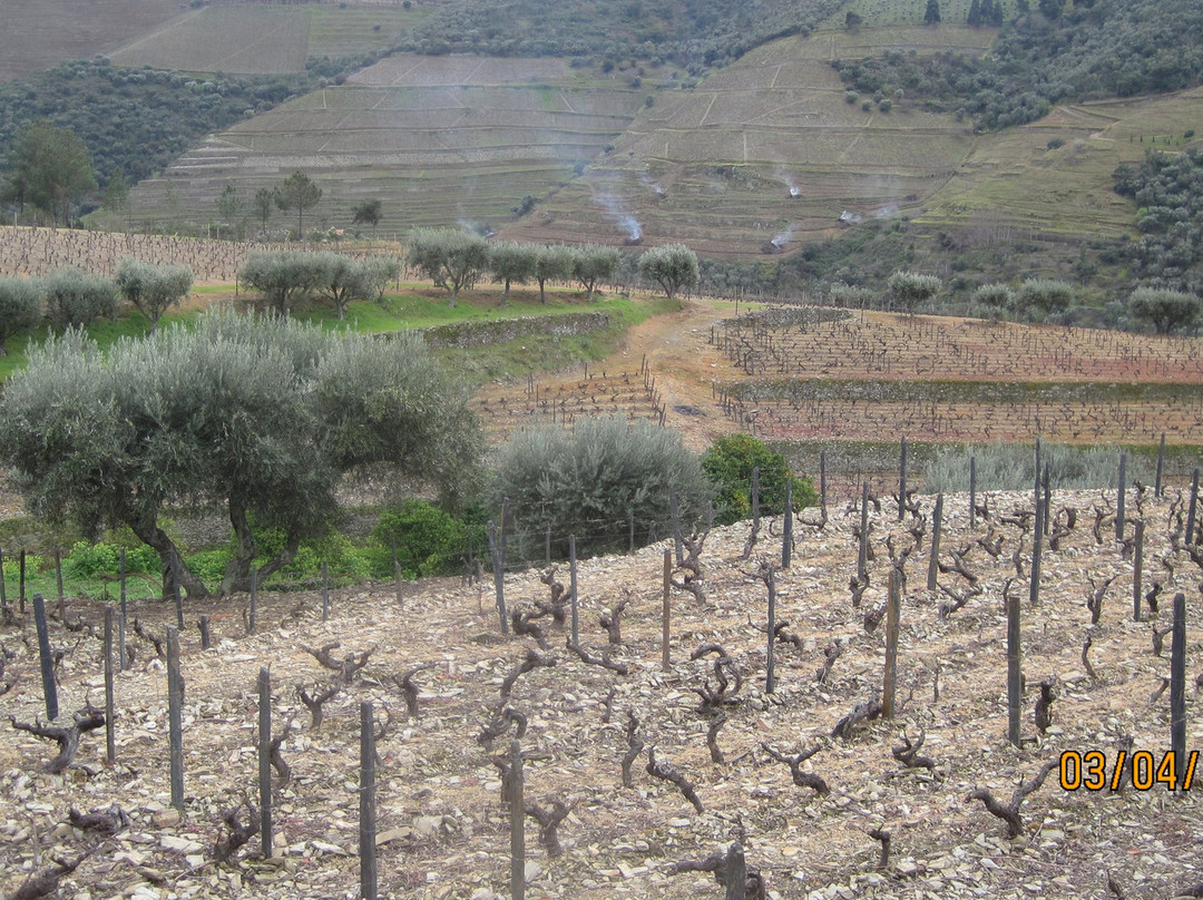 Quinta do Tedo主图