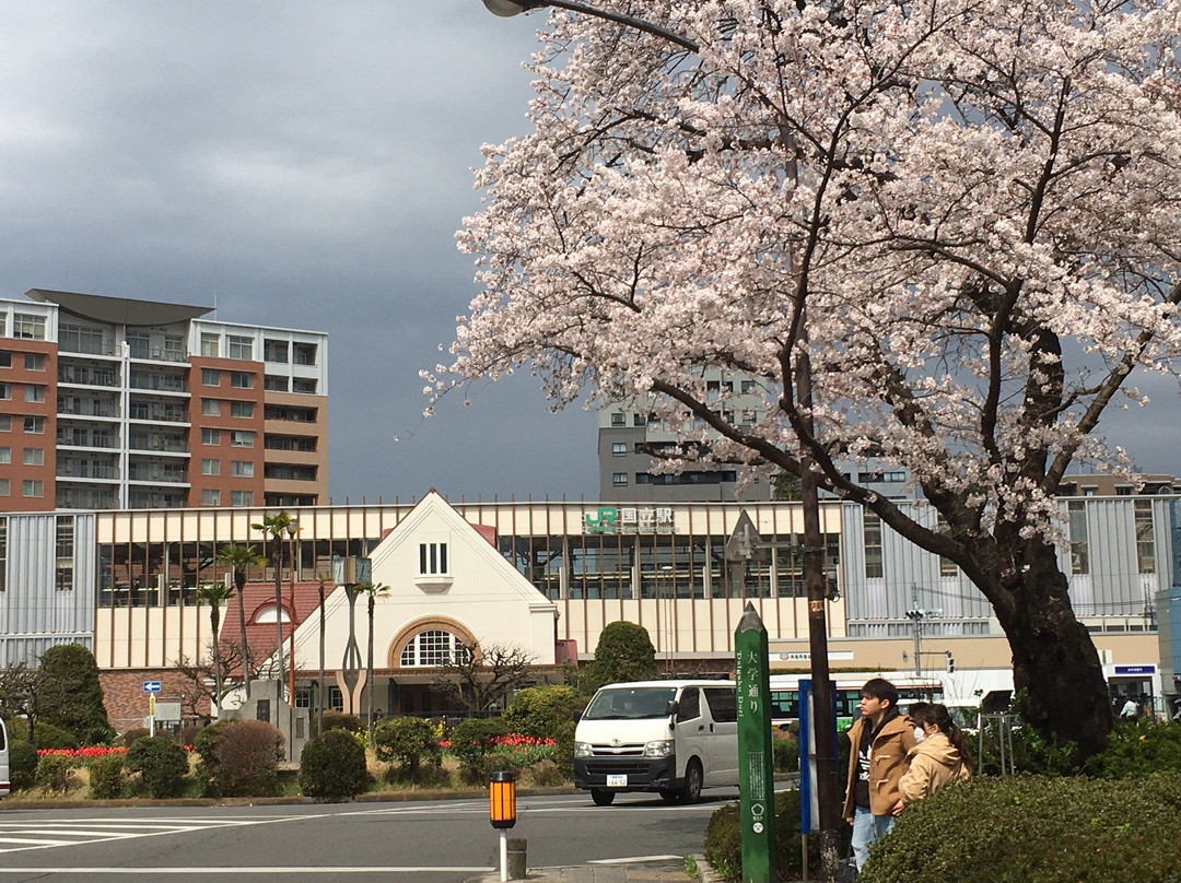 Daigakudori Street-国立市必去景点