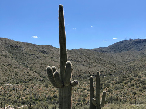 White Tank Mountain Regional Park-Waddell必去景点