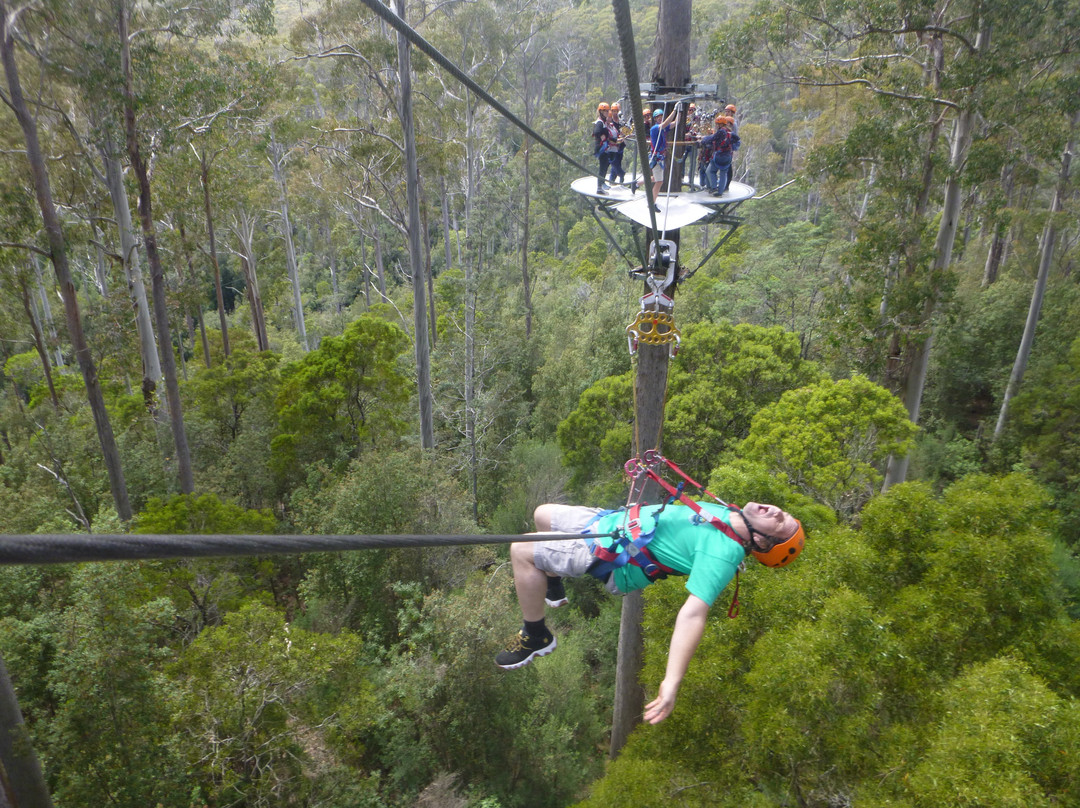Hollybank Wilderness Adventures景点图片