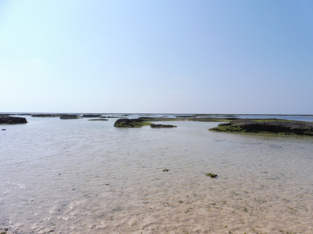 Ohara Shinri Beach景点图片