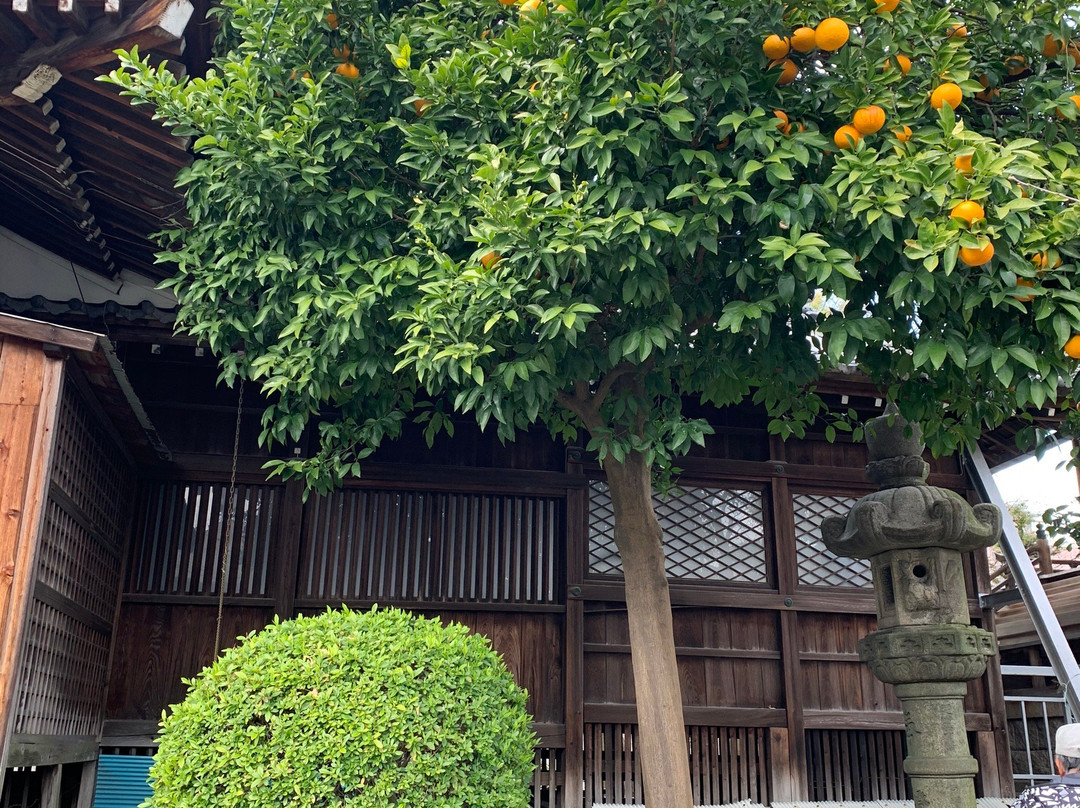 Tokiwa Shrine-大垣市必去景点