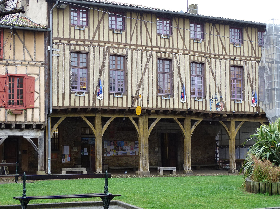 Office de Tourisme des Pyrénées Cathares景点图片