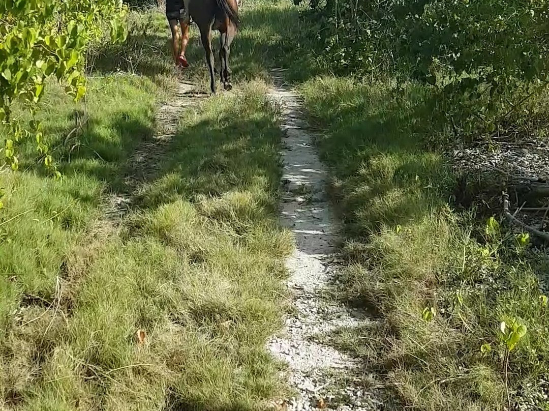 Friendship Riding Stables-Canaan必去景点