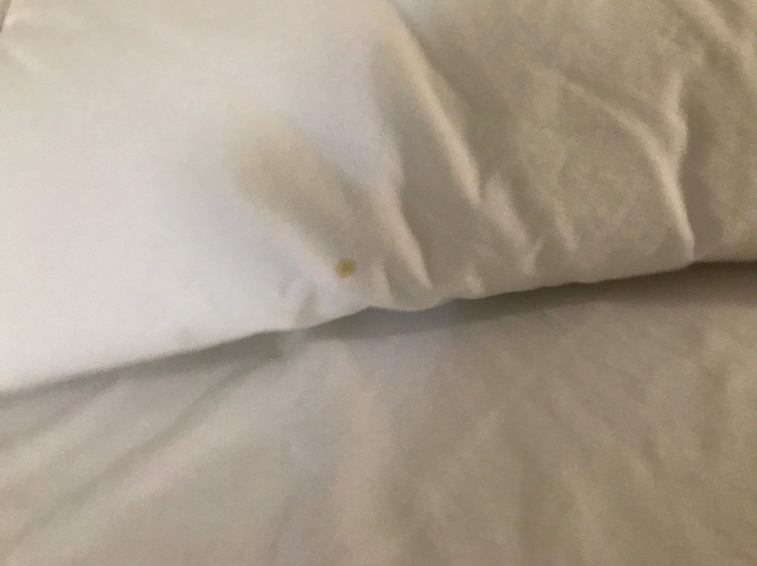 Quality Inn & Suites主图