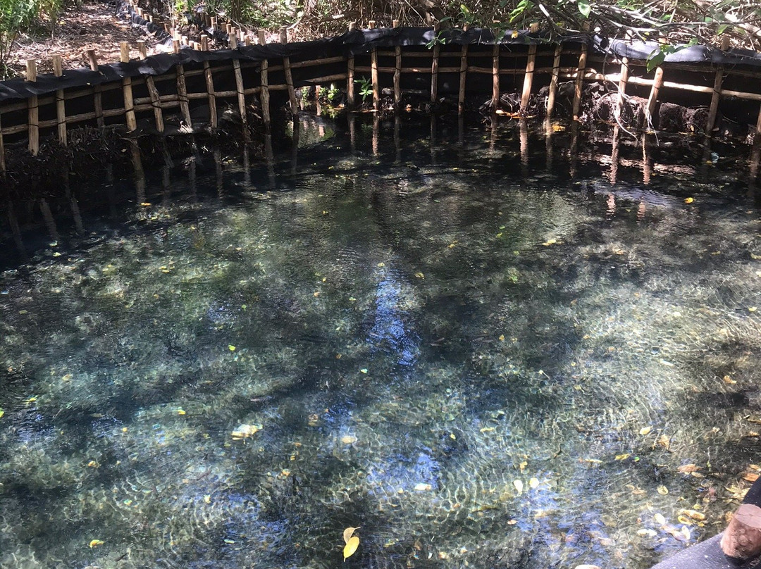 Reserva Ecológica El Corchito景点图片