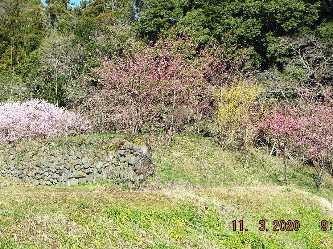 Hanasaku Satoyama Walk景点图片