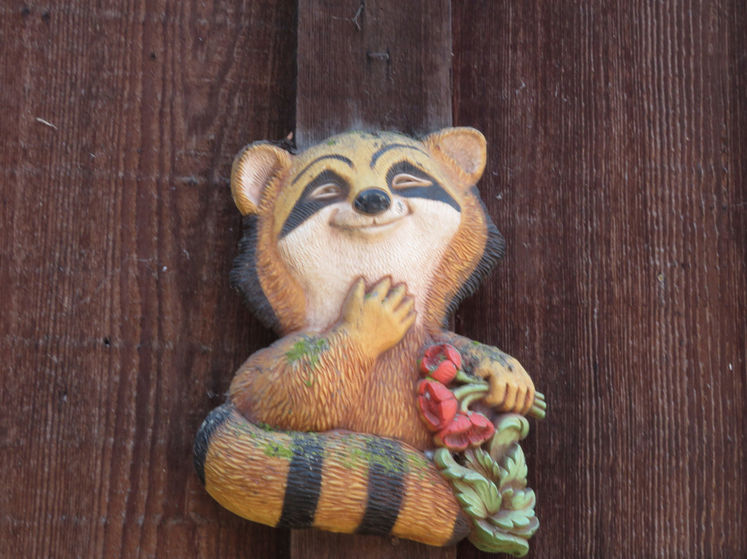 Sulphur Creek Nature Center-海沃德必去景点