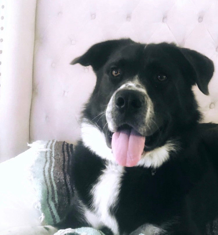 Best Western Parker Inn主图