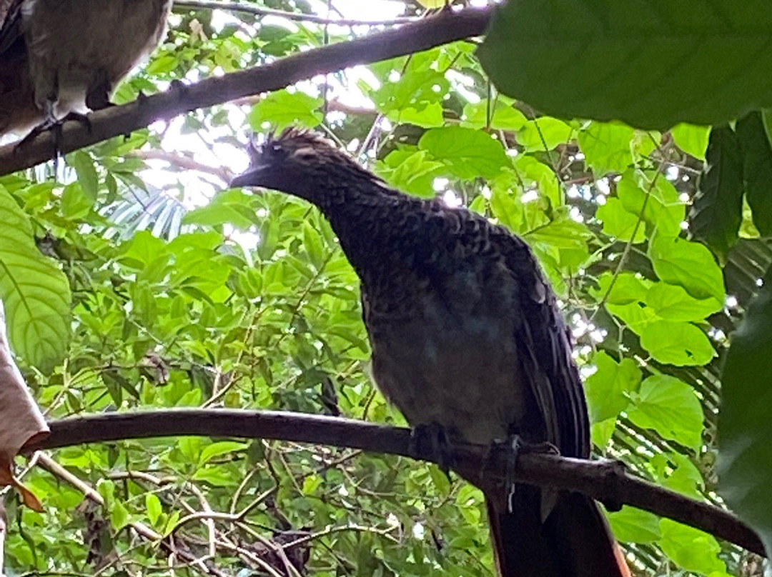 Museu de Biologia Prof. Mello Leitão-Santa Teresa必去景点