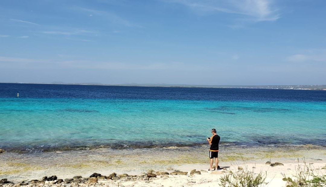 博内尔加勒比俱乐部主图