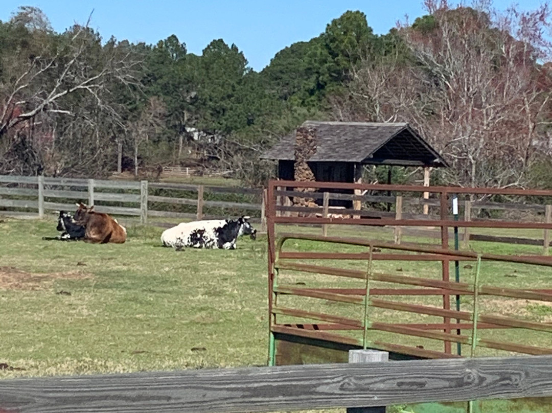 Georgia Museum of Agriculture and Historic Village-蒂夫顿必去景点
