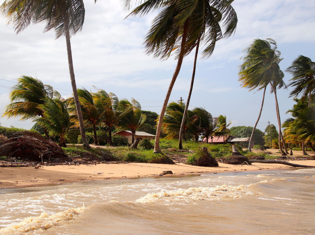 Marowijne River-Albina必去景点