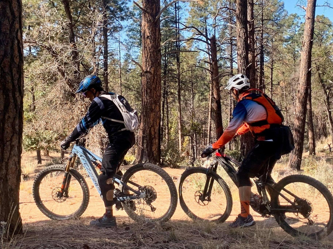 E-migos Electric Mountain Bike Tours-凤凰城必去景点