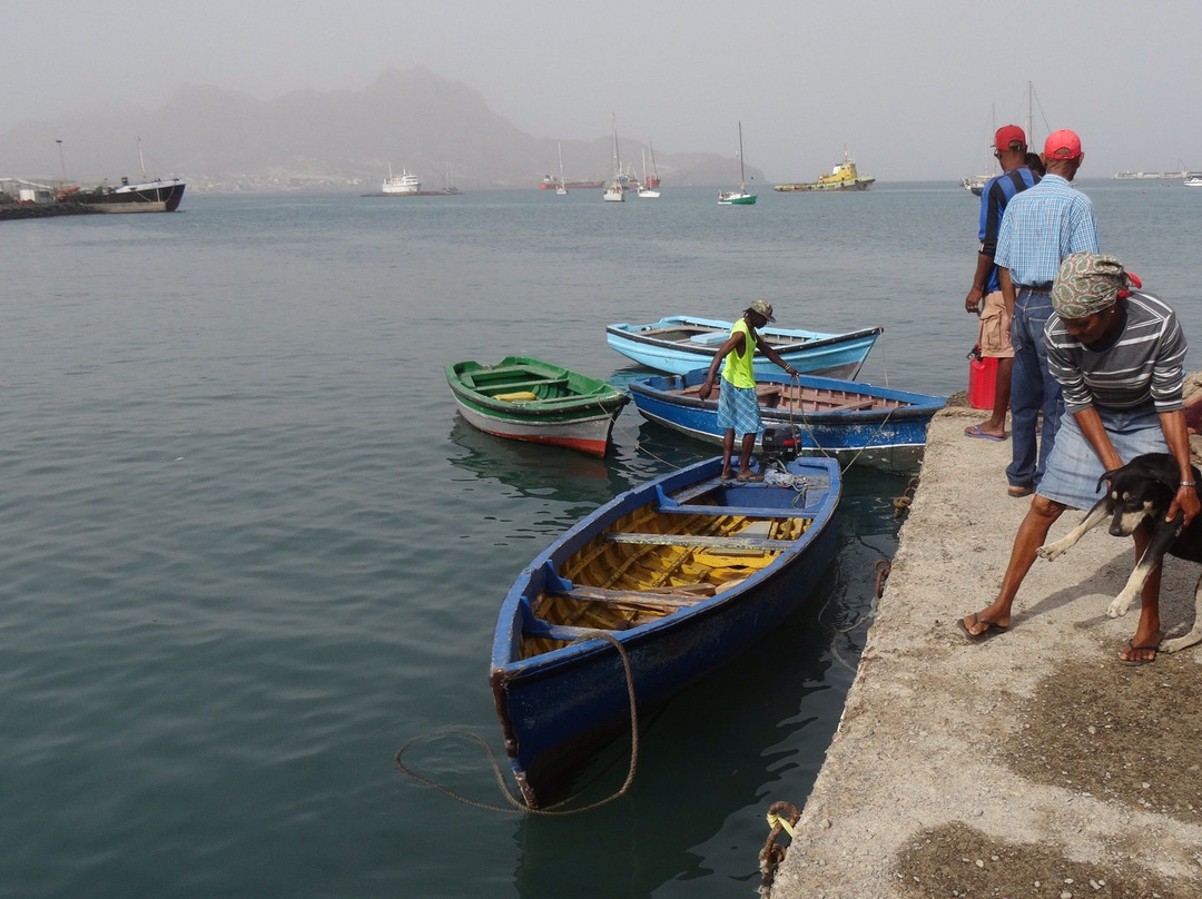 Mercado de Peixe-Sao Vicente必去景点